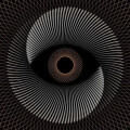 Ocean, The - Holocene (instrumental) lp