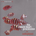 Black Heart Procession + Solbakken - In the Fishtank 11