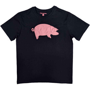Pink Floyd - AWBDG (navy)