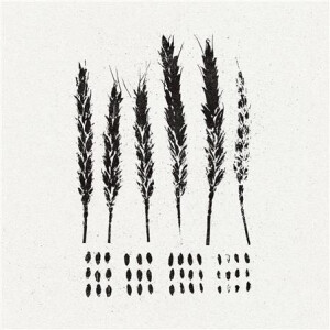 Lo! - The Gleaners cd