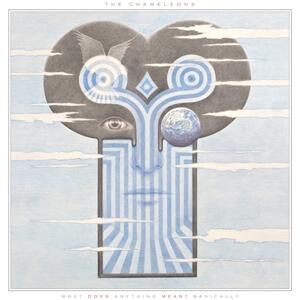 Chameleons, The - What Does Anything Mean? Basically - (clear) col lp