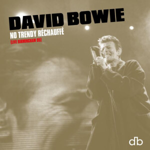 David Bowie - No Trendy Réchauffé (Live Birmingham 95) (Brilliant Live Adventures Series) cd
