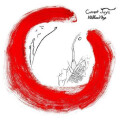 Current Joys - A Different Age tape