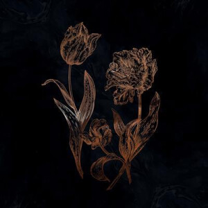 Dvne - Cycles of Asphodel