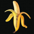 Dandy Warhols, The - Welcome to the Monkey House