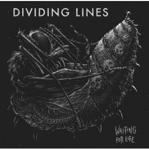 Dividing Lines - Waiting for Life - lp