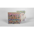 Sufjan Stevens - Javelin digi-cd
