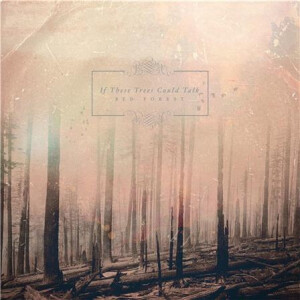 If These Trees Could Talk - Red Forest