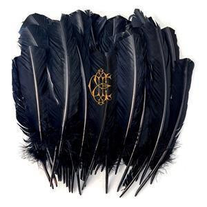 David Eugene Edwards - Hyacinth lp