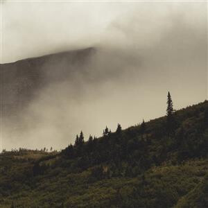 Lord Buffalo - Tohu Wa Bohu