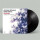 Andreas Schaerer, Kalle Kalima - Evolution