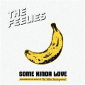 Feelies, The - Some Kinda Love: The Music of Velvet...
