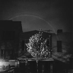 Open City - Hands in the Honey Jar - col lp