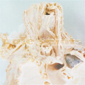 Pale Saints - In Ribbons (30th Anniversary) - lp