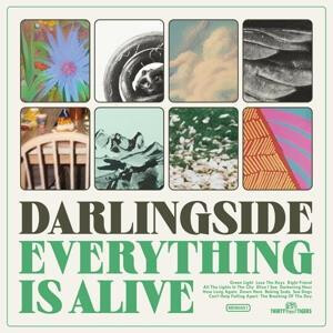 Darlingside - Everything Is Alive