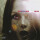 Jesus and Mary Chain, The - Munki 2xlp