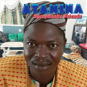 Atamina - Sycophantic Friends - lp