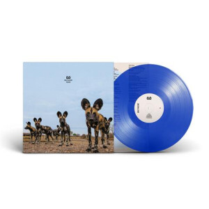 Balthazar - Fever (blue) col lp
