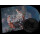 Spidergawd - VII - col lp+cd +7"+Poster
