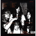 Terrorizer - World Downfall lp