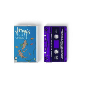 J Mascis - What Do We Do Now tape