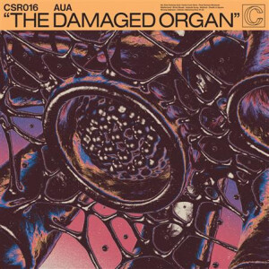 Aua - The Damaged Organ - col lp
