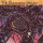 Aua - The Damaged Organ - col lp