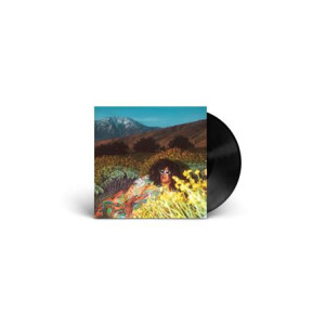 Brittany Howard - What Now lp