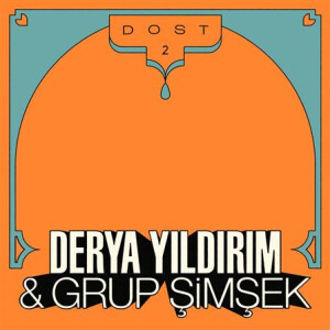 Derya Yildirim & Grup Simsek - DOST 2 - lp