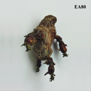 EA 80 - Single lp