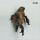 EA 80 - Single lp