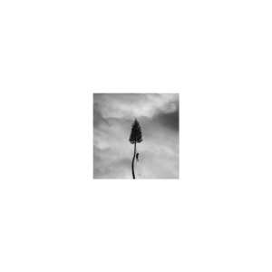 Manchester Orchestra - A Black Mile To The Surface (silver) col 2xlp