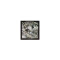 Phosphorescent - Revelator (black ice) col lp