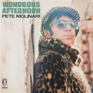 Pete Molinari - Wondrous Afternoon - lp
