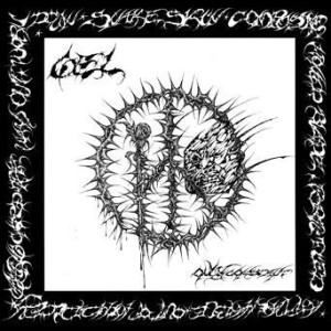 Gel - Only Constant
