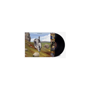 English Teacher - This Could be Texas lp