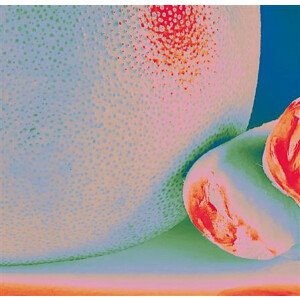 Albedo Massima - Citrus Citrus - lp