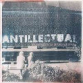 Antillectual - Perspectives & Objectives