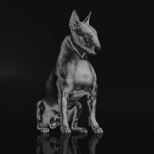 Riskee & the Ridicule - Platinum Statue lp