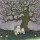 J Mascis - Tied to a star