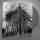 Impure Wilhelmina - Dead Decades - (marbled) col 12"