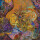 Slimelord - Chytridiomycosis Relinquished