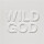 Nick Cave & the Bad Seeds - Wild God