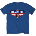 Beastie Boys - American Flag (blue)