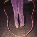Buffalo Tom - Jump Rope