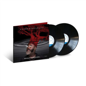 Nduduzo Makhathini - uNomkhubulwane 2xlp