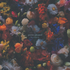 Like A Motorcycle - Pretty Pleased lp
