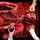 200 Stab Wounds - Manual Manic Procedures cd