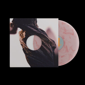 Pixies, The - The Night the Zombies Came (red smoky) lp