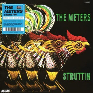 Meters, The - Struttin